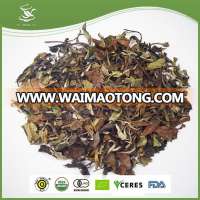 High Quality Hot Selling Detox Slim Tea White Tea