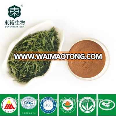 Plant extract Organic Green Tea Extract 98% high quality tea polyphenols with free sample