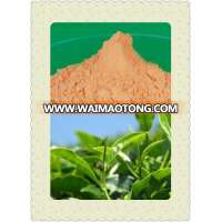 High quality natural Green tea extract Catechin on sell